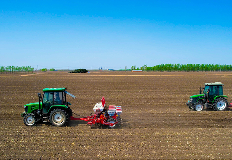萬(wàn)象“耕”新：利如金農(nóng)業(yè)集團(tuán)全面有序開展春耕工作