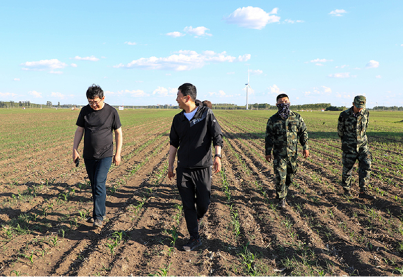 黑龍江省農(nóng)投集團(tuán)領(lǐng)導(dǎo)到利如金農(nóng)業(yè)集團(tuán)種植基地考察調(diào)研