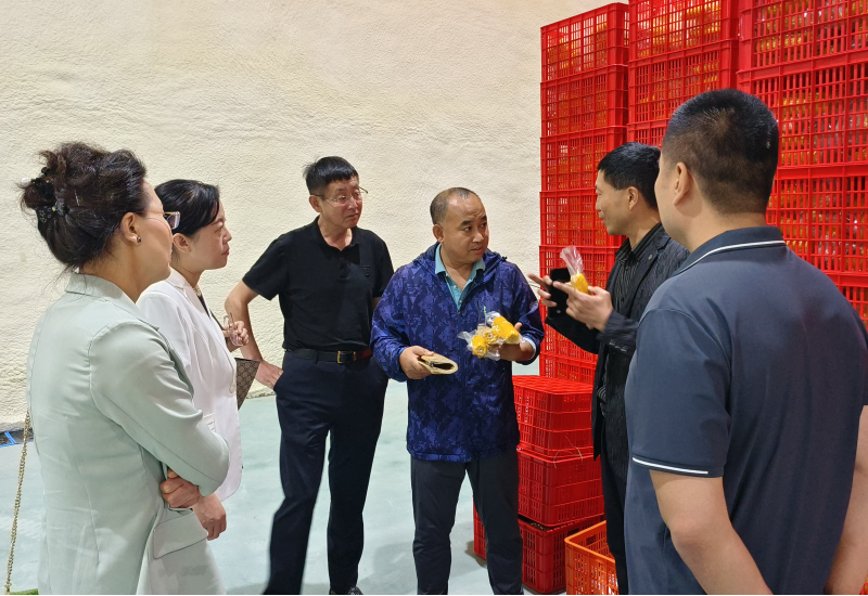 省綠色食品發(fā)展中心張曉紅主任、一級調(diào)研員郝志紅對利如金農(nóng)業(yè)集團遠海分公司擬申報的綠色食品產(chǎn)品給予現(xiàn)場檢查和指導(dǎo)